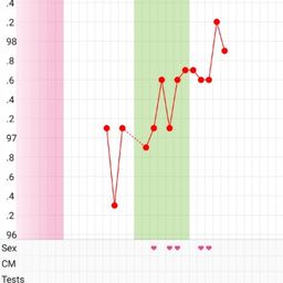 Perfect Bb&t Chart Example Example Pregnancy Bbt Chart