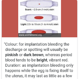 implantation bleeding vs period