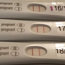 22 Dpo Frer Lines Stopped Progressing Glow Community