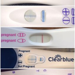 7dpo Pregnancy Test Line Progression Glow Community