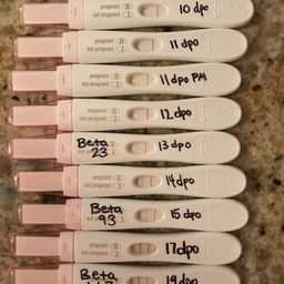 Frer Progression And Betas Glow Community