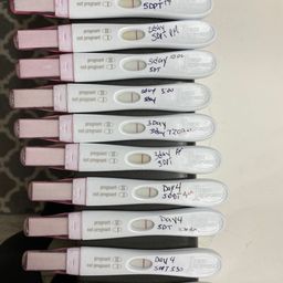 Bfp After Ivf Iui Glow Community
