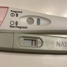 Positive Pregnancy Test Results Natalist, 42% OFF