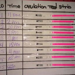 DIY Ovulation/Pregnancy test strip chart - Glow Community