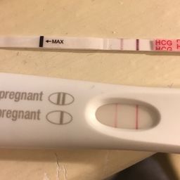 6dp5dt Evening Bfp Glow Community