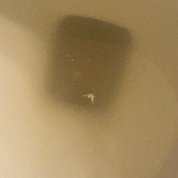 White tissue looking stuff in urine? 38 weeks - Glow Community