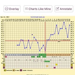 Implantation Dip 12 Dpo Glow Community